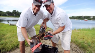 Majestic 22-Pound Lobster Dies After Being Released Into the Wild by Clueless Humans